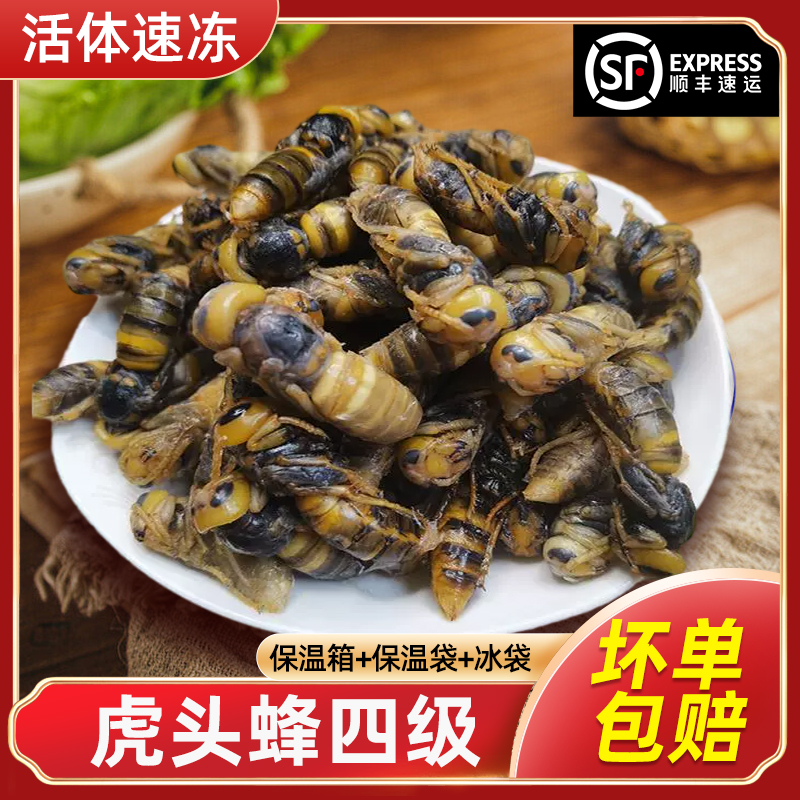 虎头蜂蜂蛹金环虎头蜂蛹四级新鲜速冻生鲜蜂蛹食用昆虫油炸烧烤蜂