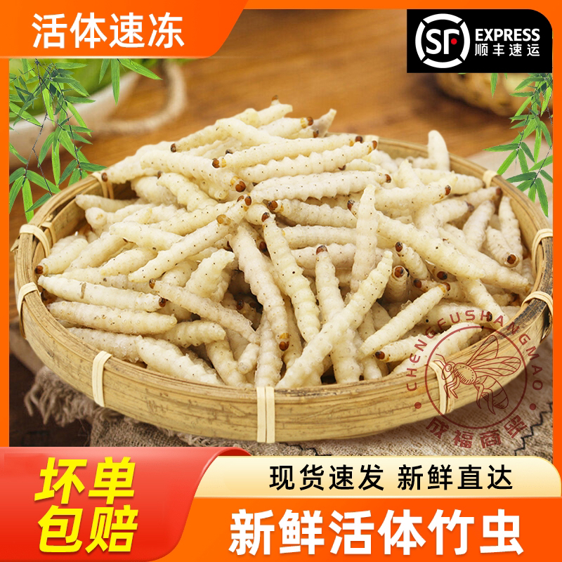 竹蜂虫竹节虫竹蛹新鲜速冻竹油炸竹笋虫酒店下酒菜