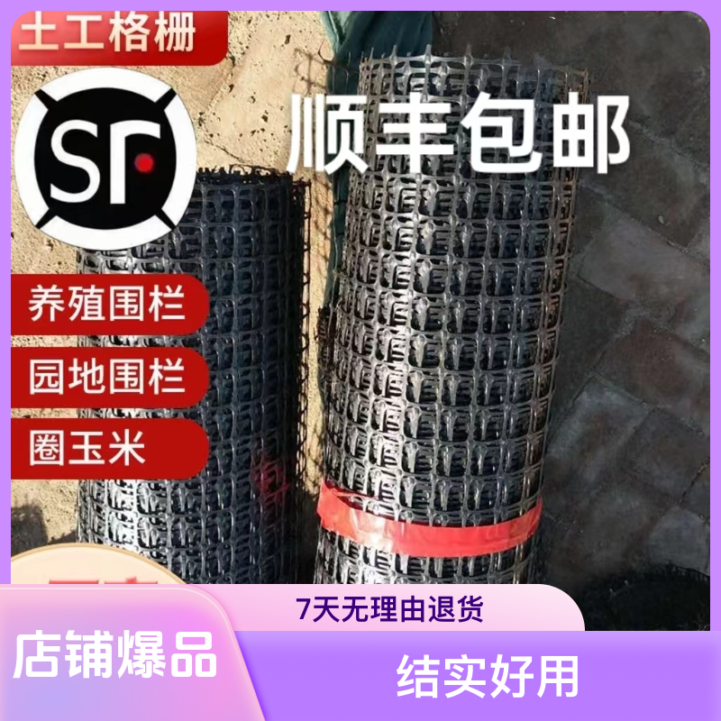 塑胶养殖网养鸡鸭鹅圈地圈果园玉米围鱼塘专用网葡萄架大鹏防鸟网