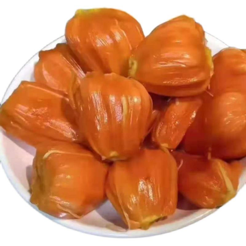 泰12号红肉红丝波萝蜜，稼接的，树形好看