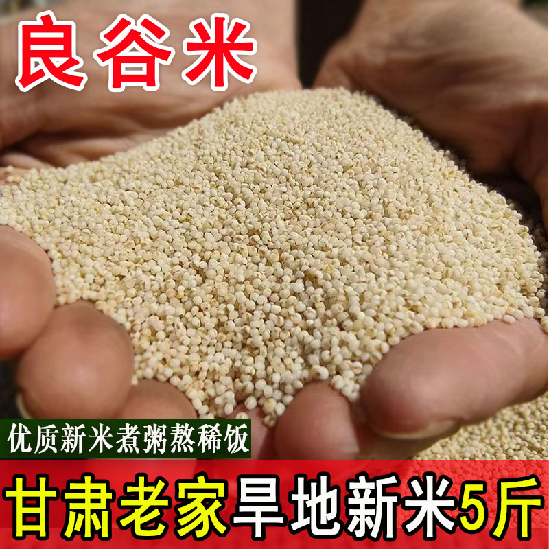 旱地良谷米5斤甘肃农村白小米月子新米煮粥熬稀饭用五谷杂粮粗粮