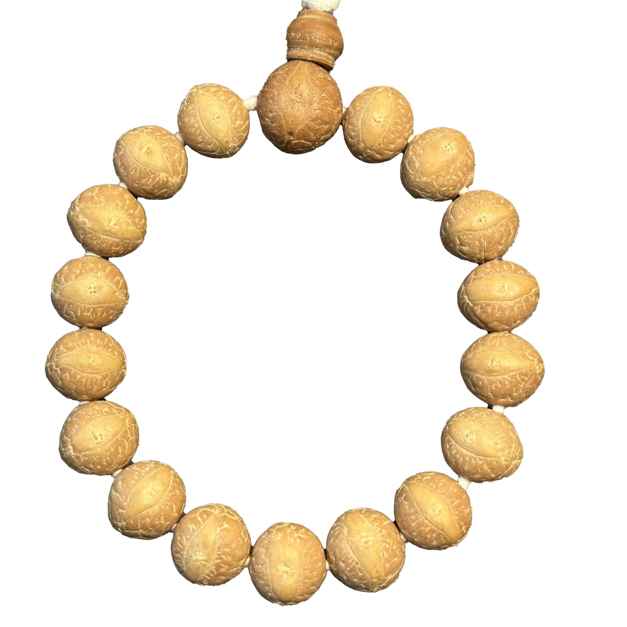 天然品质尼泊尔凤眼菩提13-16大尺寸 多样性发