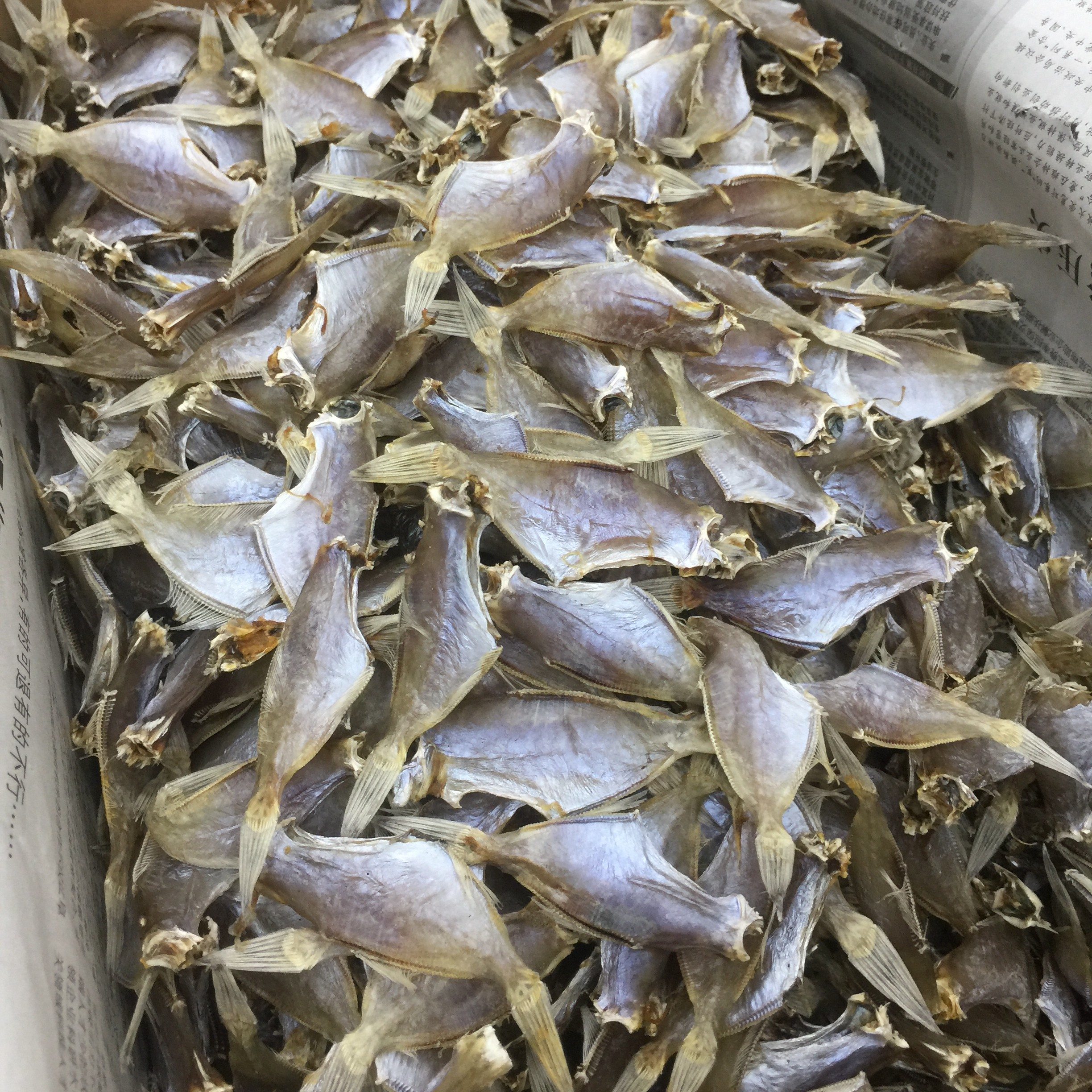 产地陆丰市碣石湾本港剥皮鱼干，净含量500g