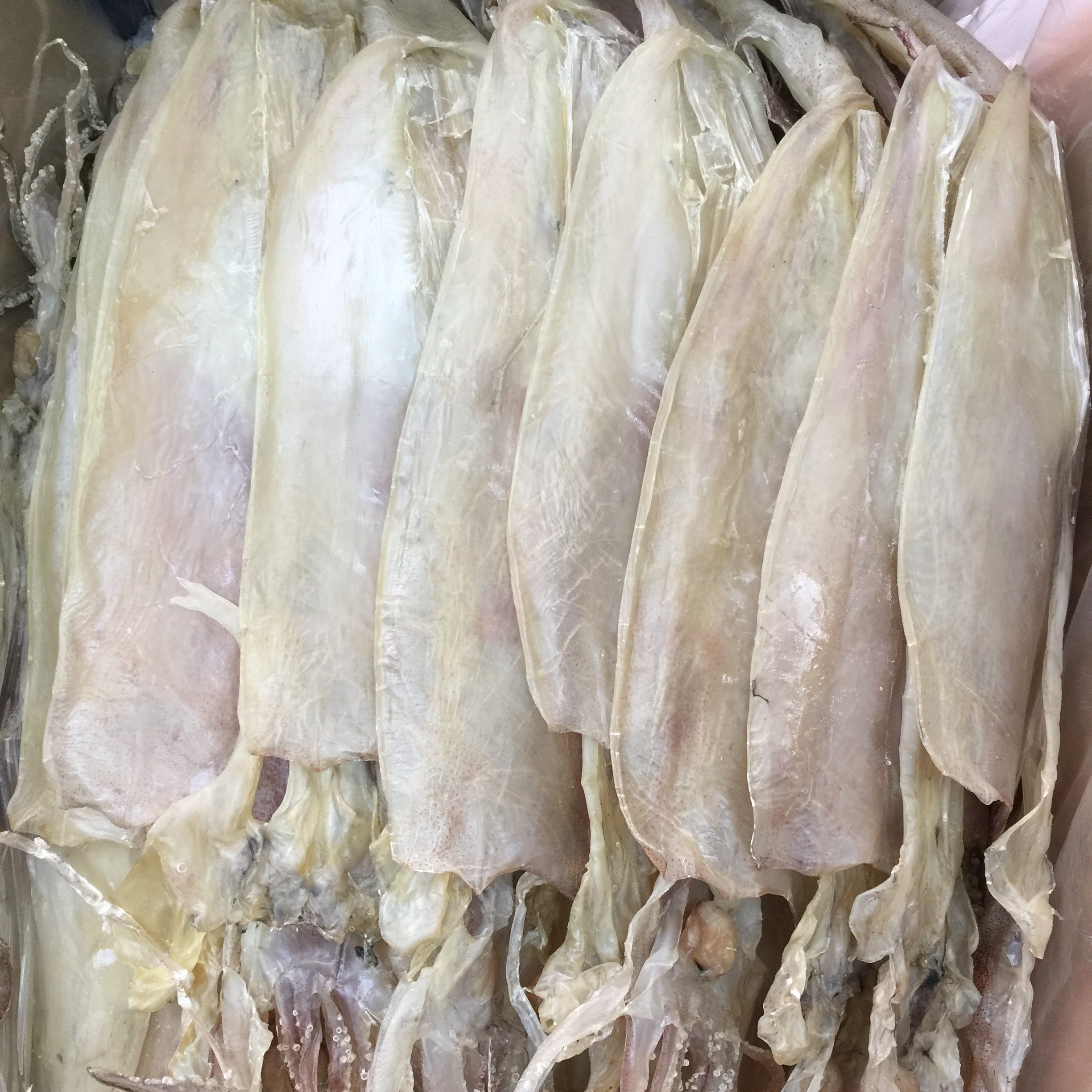 南海碣石湾海鲜干货本港特尺鱿鱼母鱿鱼干，净含量250g-500g