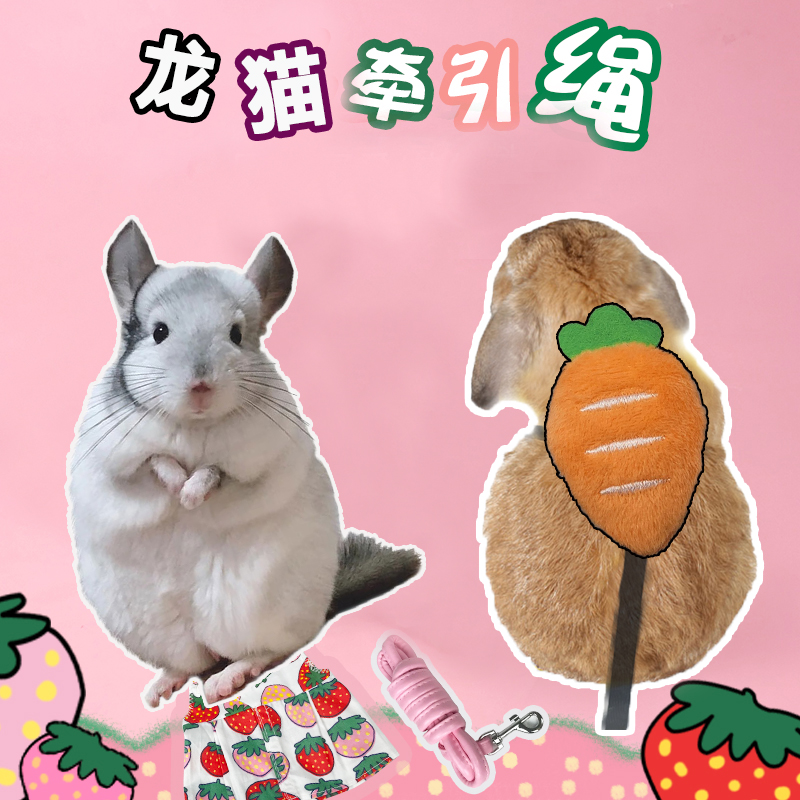 龙猫牵引绳外出宠物遛溜龙猫专用绳子荷兰猪土拨鼠小兔外带牵引绳