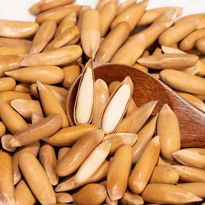 新货薄壳巴西松子颗粒手剥松子新鲜营养开口罐装产品精选品质饱满