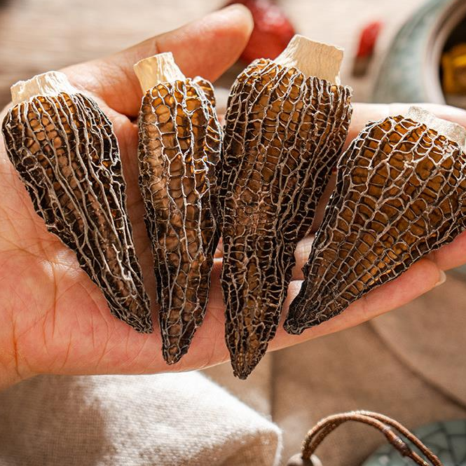 羊肚菌干货新鲜菌菇煲汤干货食材营养滋补饱满肉质鲜美精选炖汤