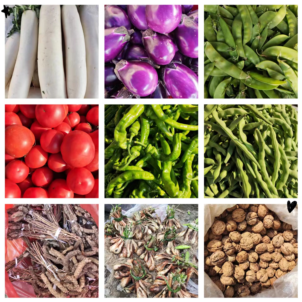 鲜货 干货 特产品   散装 500克起