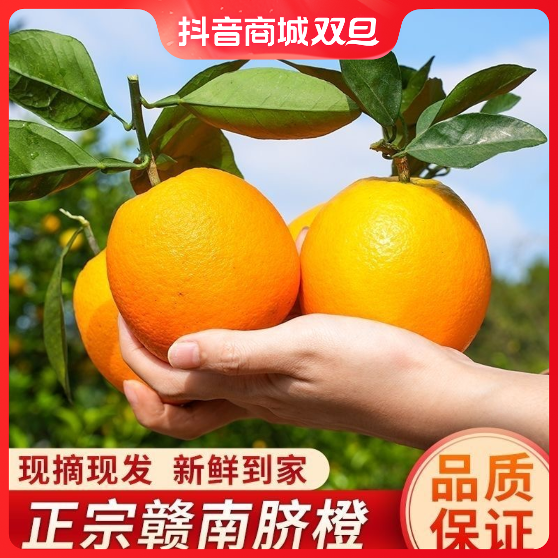 正宗赣南脐橙水果冰糖脐橙赣南赣南新鲜阳光香甜细腻爆汁酸甜自然