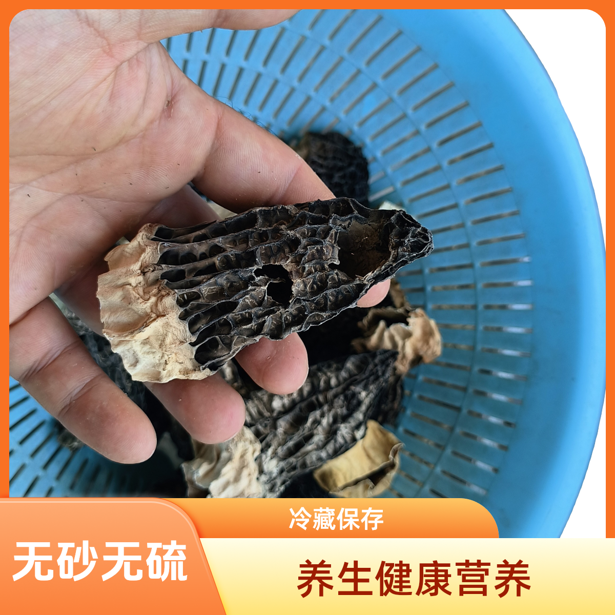 破损头茬羊肚菌无砂无硫养生健康营养