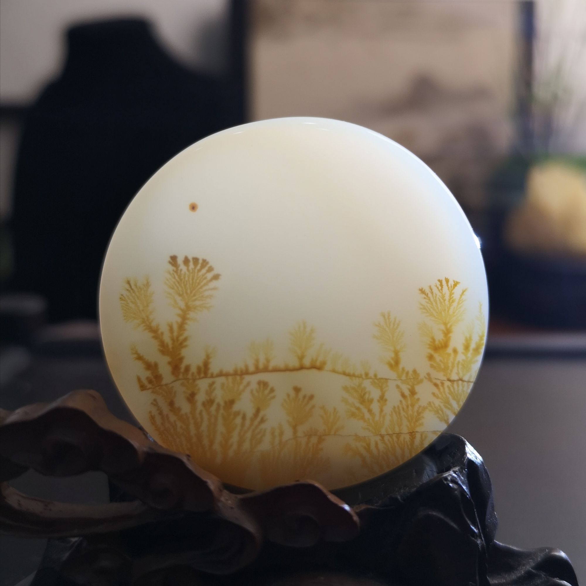 海洋玉髓--黄金草（瓷种），尺寸：46x6mm