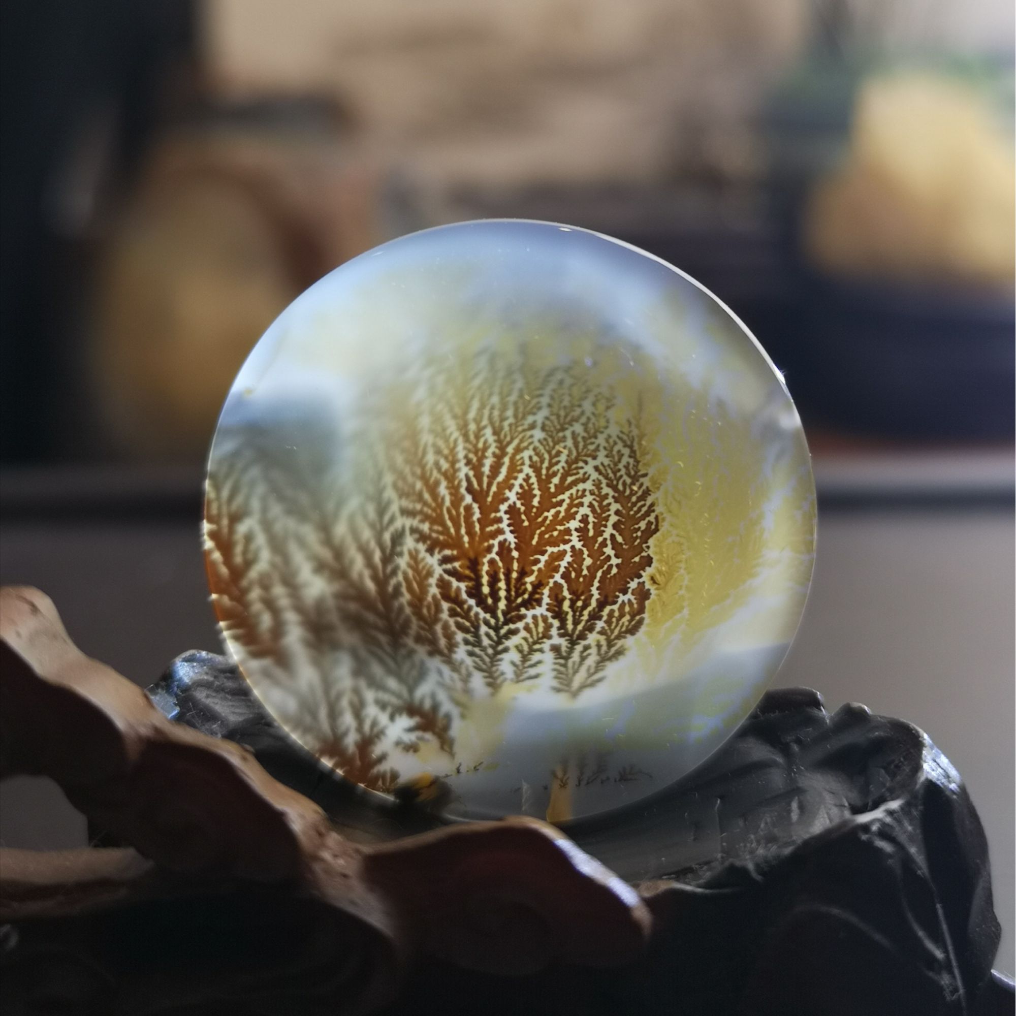 海洋玉髓--双色草，尺寸：32x6mm