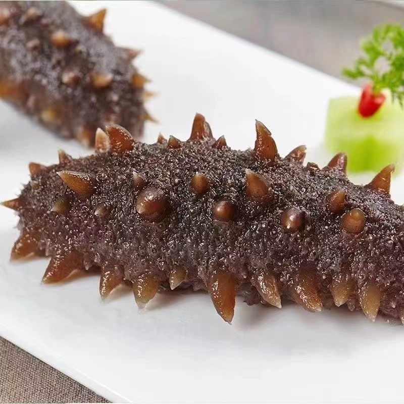 10A级参王鲜食海参3-5头/斤12-15厘米左右