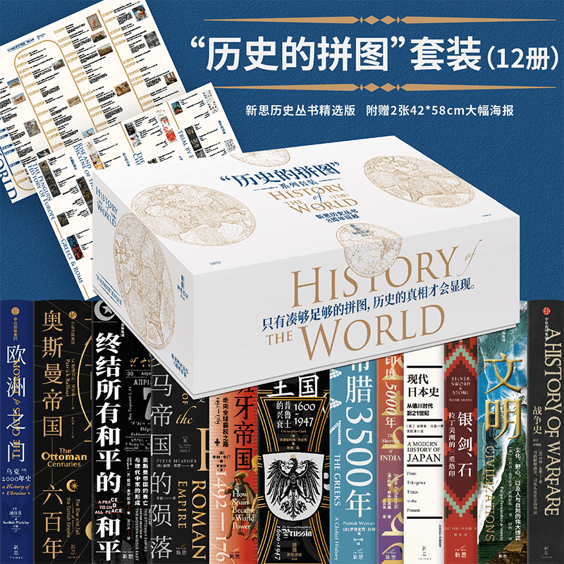 历史的拼图系列套装（套装全12册）区域国别看历史打开眼界提升格局