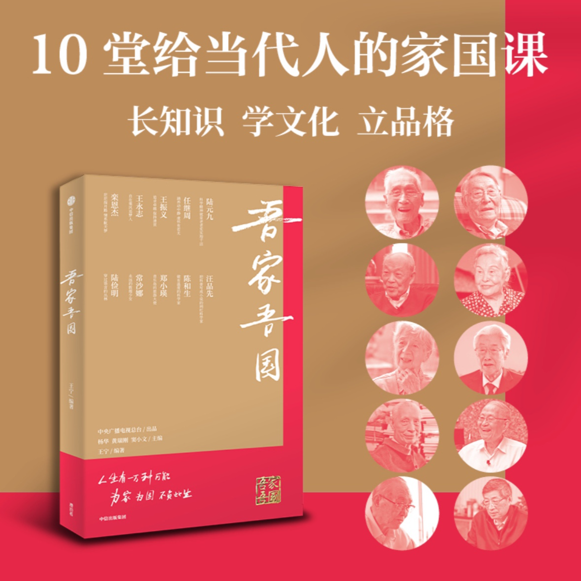吾家吾国 王宁著 给当代青年人的10堂家国课 人物/纪实 中信出版