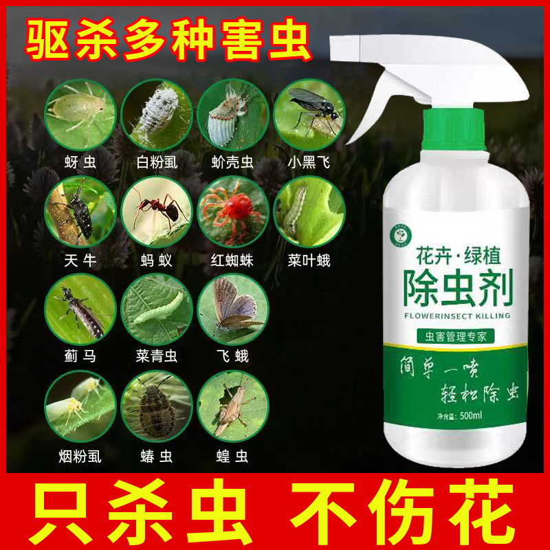 只杀虫不伤花花卉绿植杀虫剂养花花药蚧壳虫小黑飞蚜虫全灭除通用