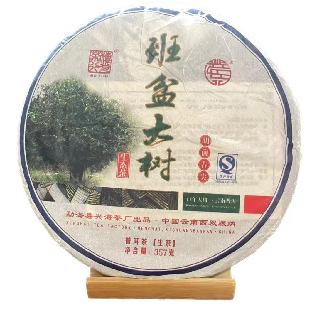 2013年兴海班盆大树明前春尖霸气厚重回甘迅猛普洱茶生茶357g饼yd