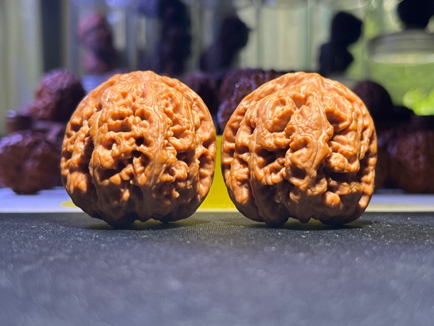 【样式核】原桩平谷大粗筋