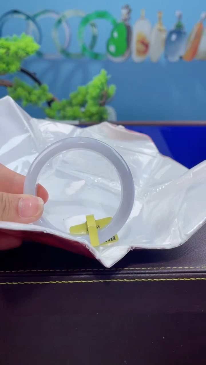 【闪购商品】翡翠手镯未镶嵌手镯10