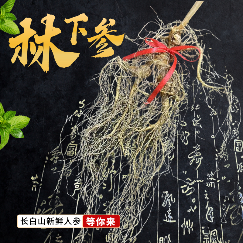 东北长白山人参新鲜人参老山参林下参