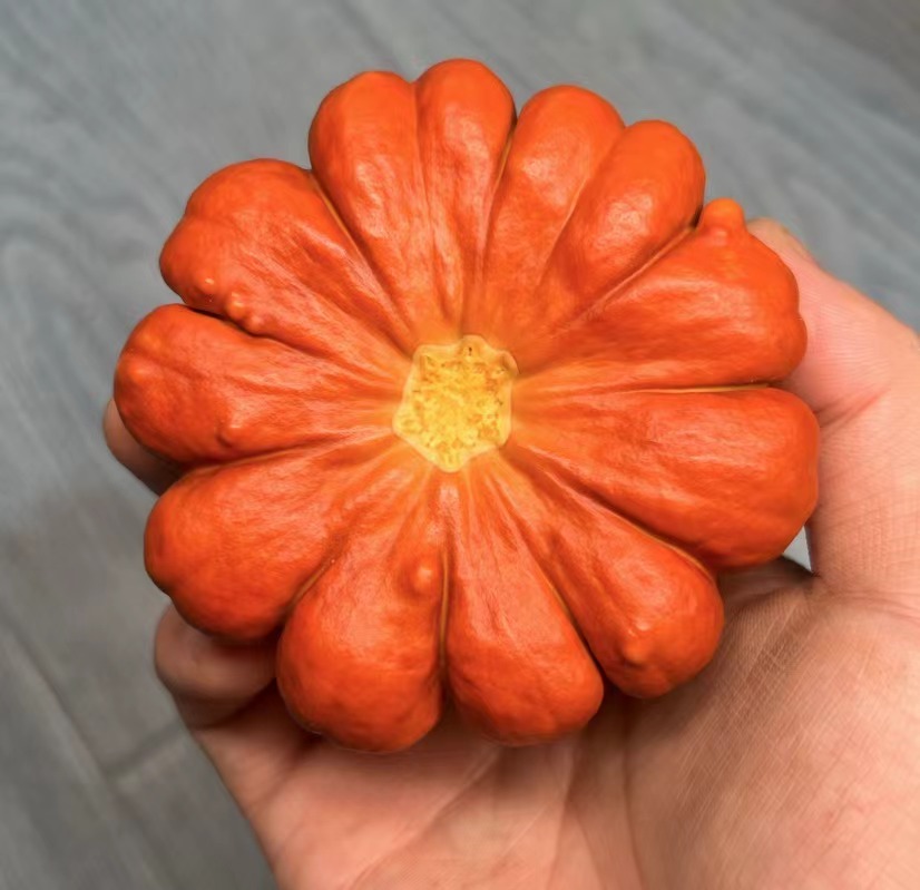 3号疙瘩葫芦链接一单一拍（以直播间展示实物为准）