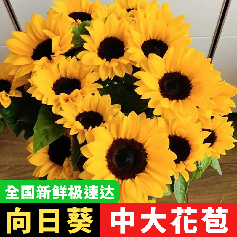【2单赠花草】向日葵花束儿童节云南直播中考高考花束水养