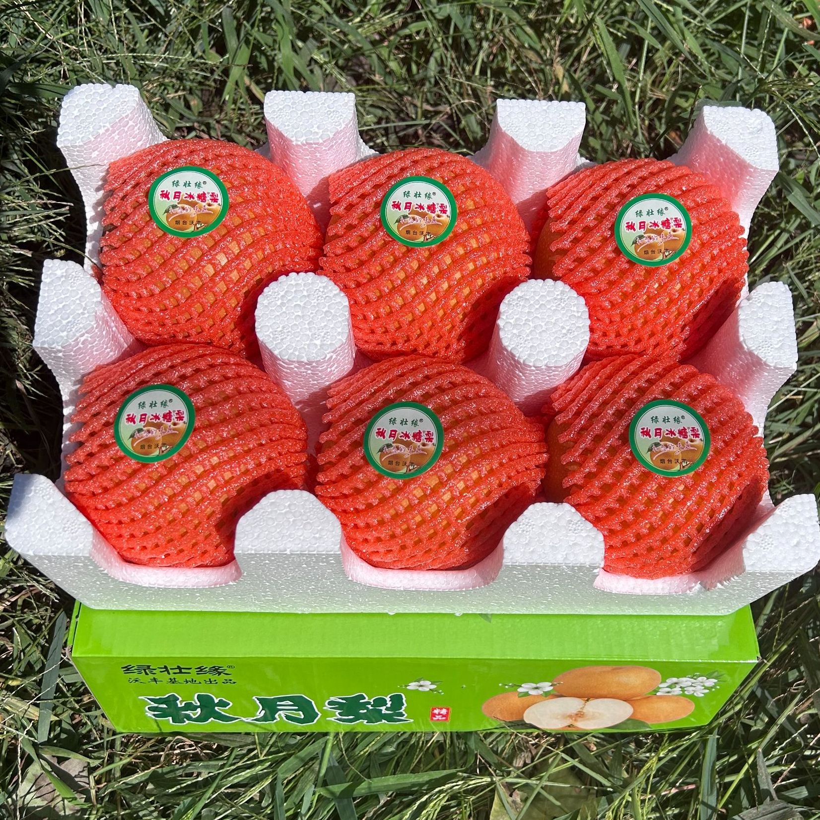 【河埃村】正宗秋月梨6个果王彩箱 好吃多汁 山东烟台基地直发