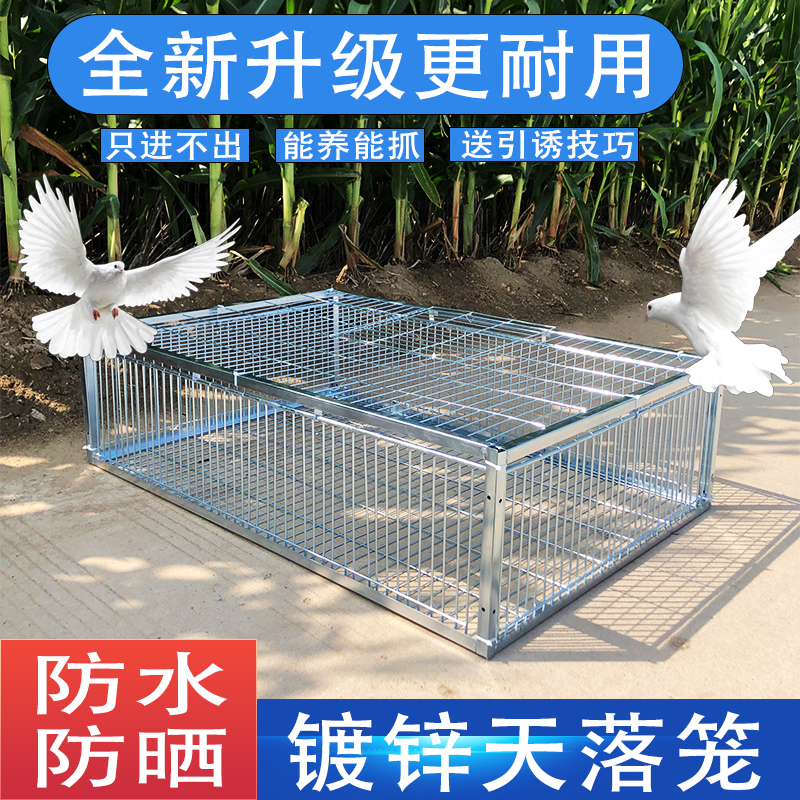养殖天落笼只进不出户外鸽子笼子镀锌加厚防晒防锈鸽子撞门家用鸡