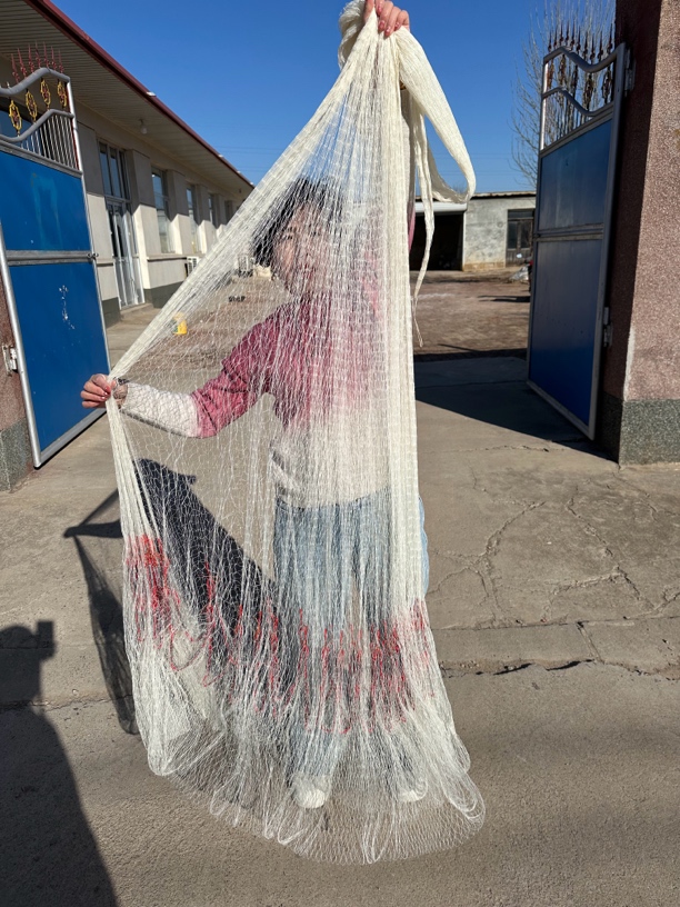 八编大力马线白色一指网眼，3米高，3.5米高，4米高