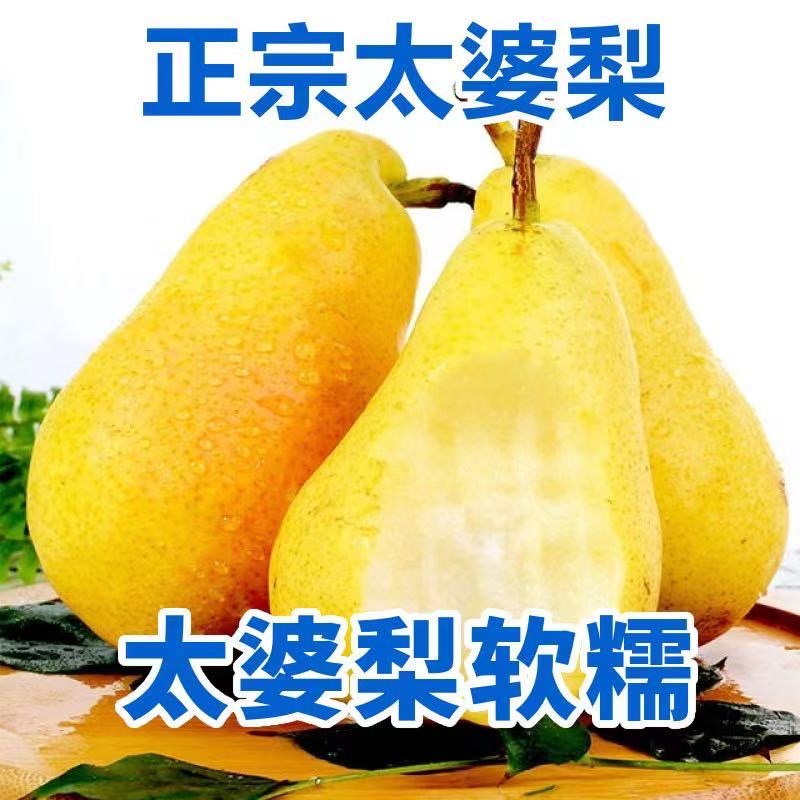 正宗烟台太婆梨香蕉梨软糯香甜青啤梨大头梨9斤装