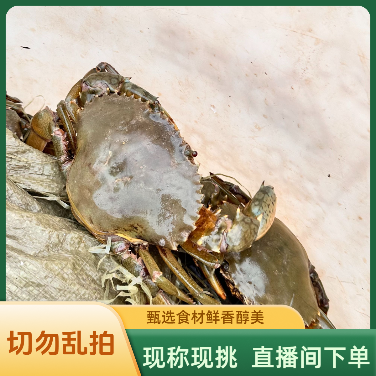 【7号改价】三门青蟹直播间改价链接切勿乱拍全国顺丰包邮包肥包活