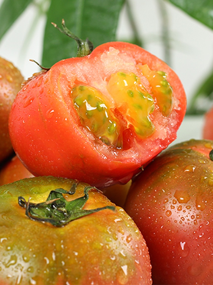 东北草莓柿子5斤装