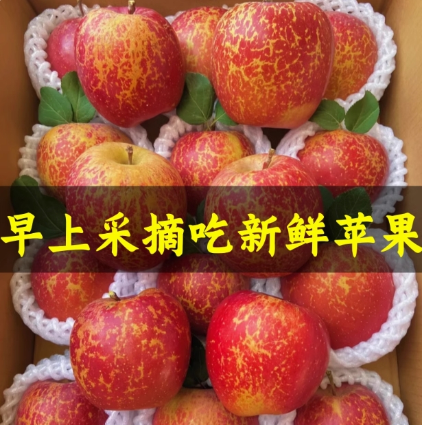 新鲜水果苹果红富士苹果