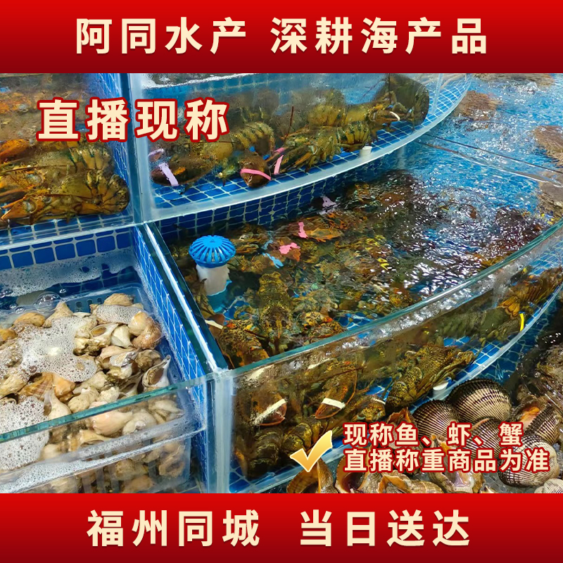 【阿同海鲜】鱼虾蟹组合17号仅福建省内可拍 直播间现称