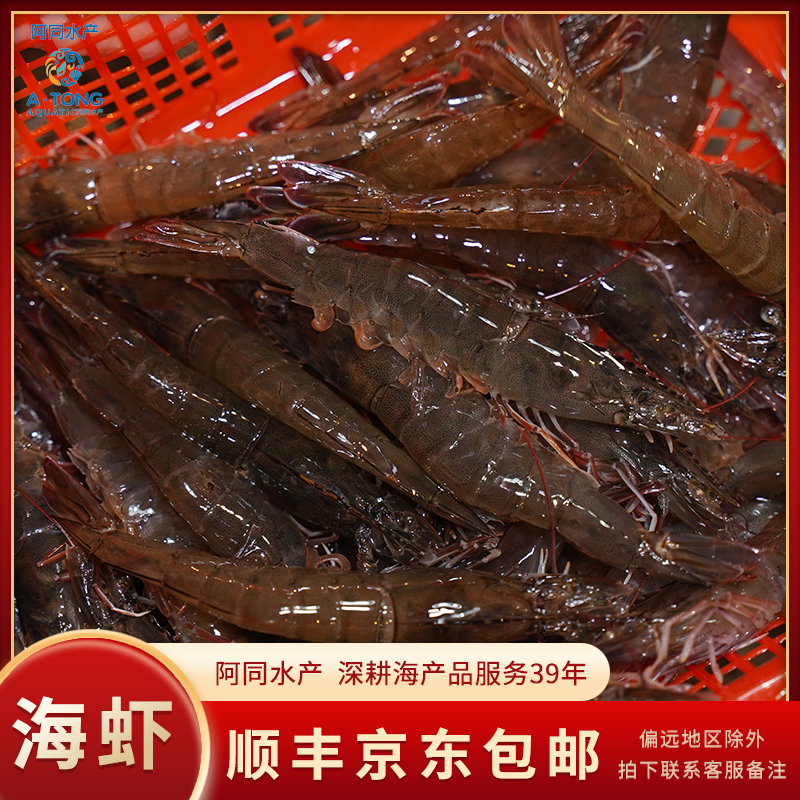 【阿同海鲜】缺氧海捕虾海虾 肉质鲜嫩直播间现称