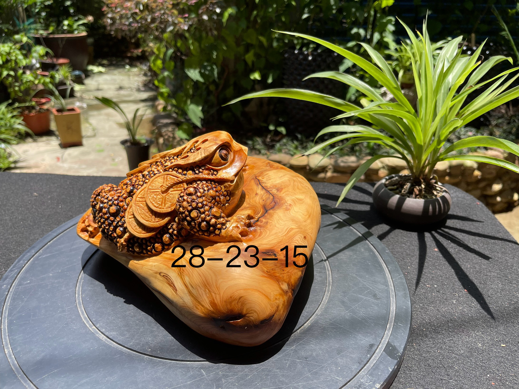 崖柏木，聚宝金蟾