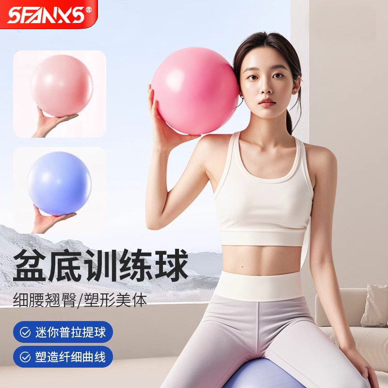欧健盆底肌康复训练球普拉提球瑜伽小球健身球防爆球25cm迷你小球