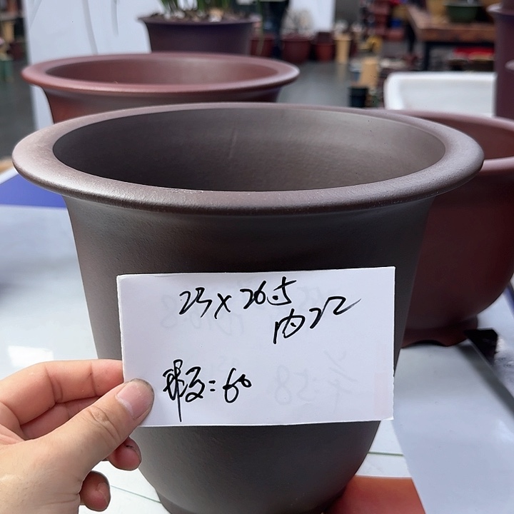 紫砂20CM（含）-50CM（不含）