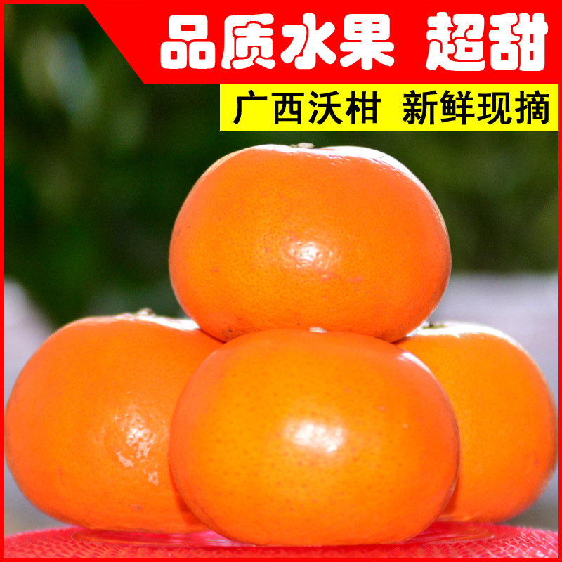 【四季风】广西新鲜沃柑橘子热带应季水果沃甘大皮薄发货酸甜基地