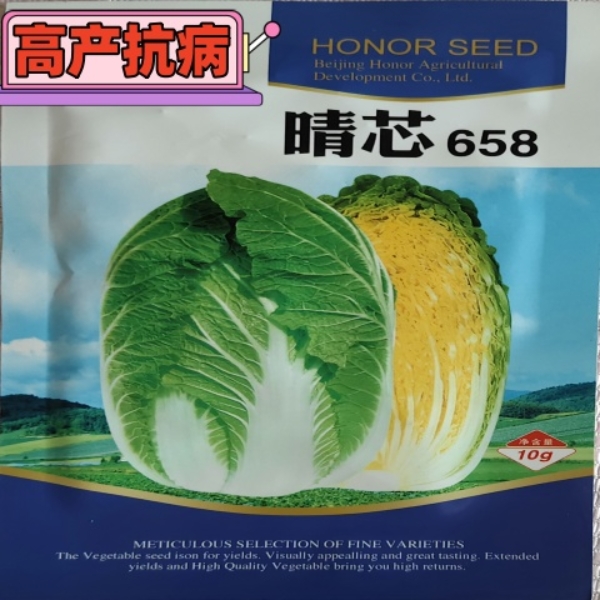 晴芯658原装四季娃娃菜种子蔬菜种子抗病四季播种黄心菜种子