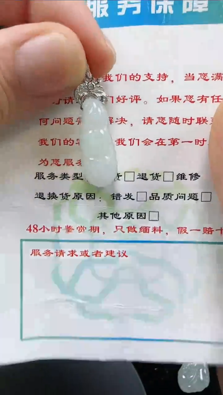 【闪购商品】翡翠颈饰未镶嵌豆子