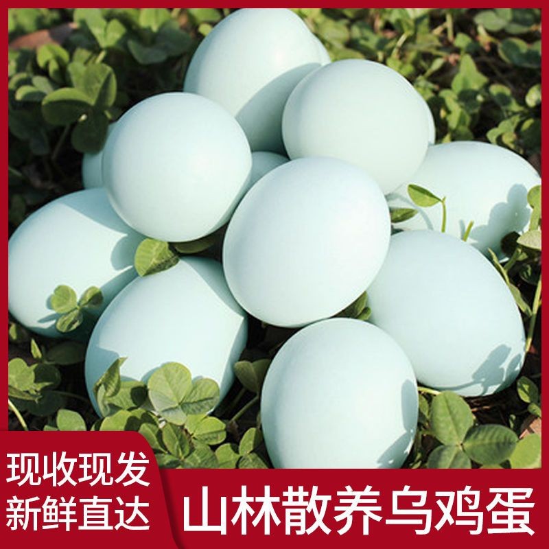 农家散养绿壳鸡蛋新鲜土鸡蛋山林散养初生蛋虫草蛋营养蛋乌鸡蛋
