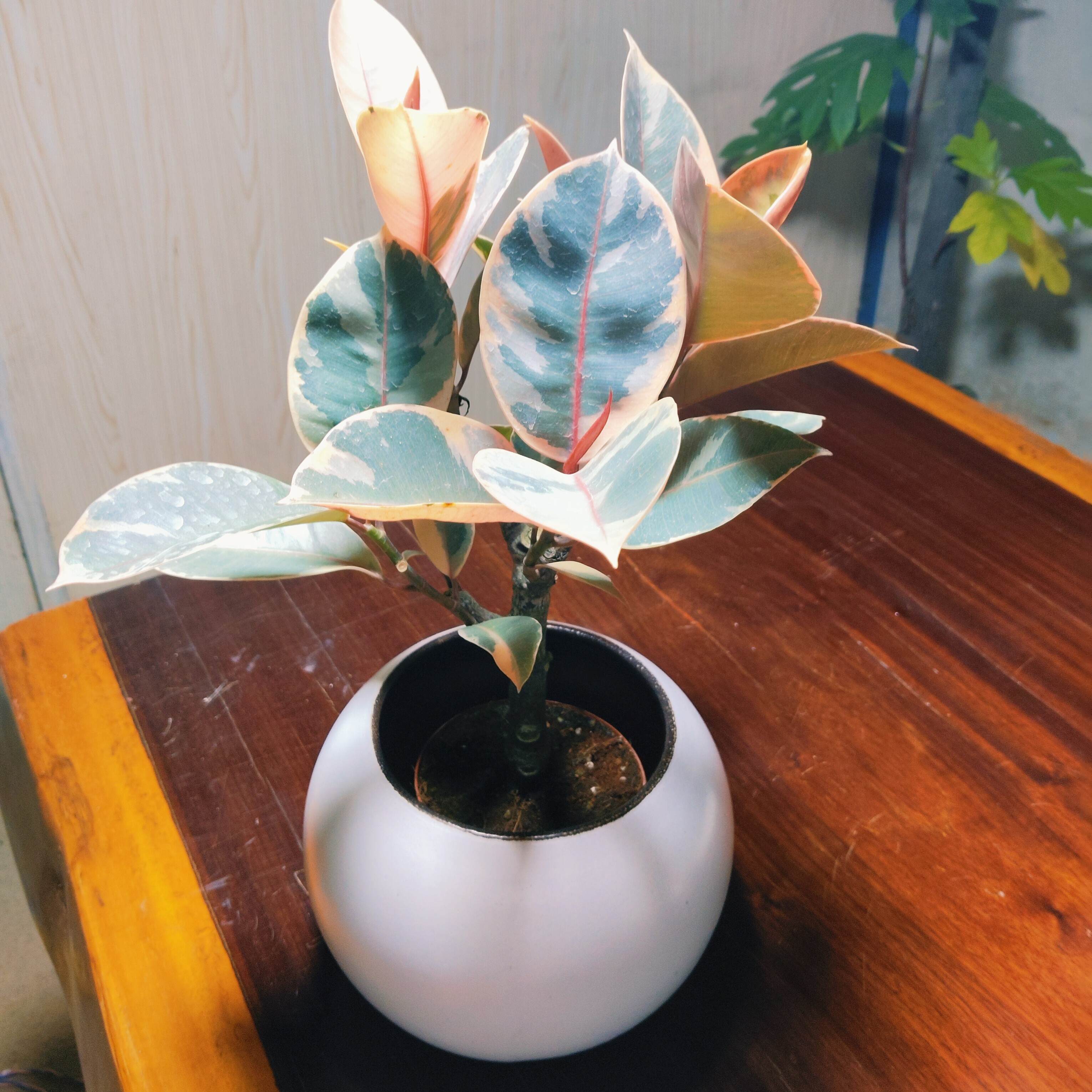 一物一拍专用连接签收退货自付