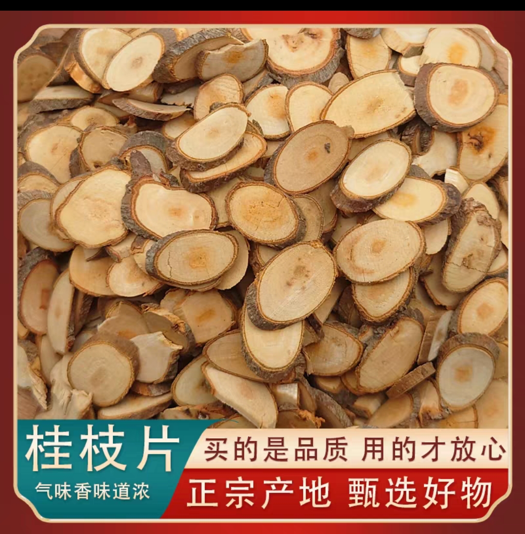 广西野生 桂枝 玉桂 桂枝尖 