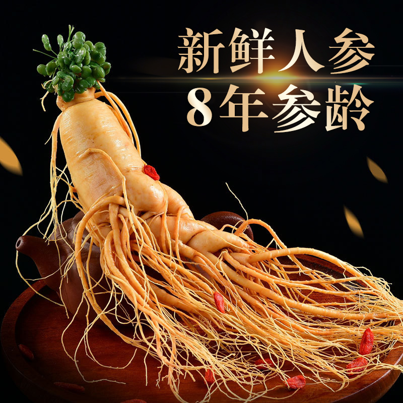 长白山保鲜参煲汤泡酒东北滋补品特产加酒保鲜人参净重100g左右
