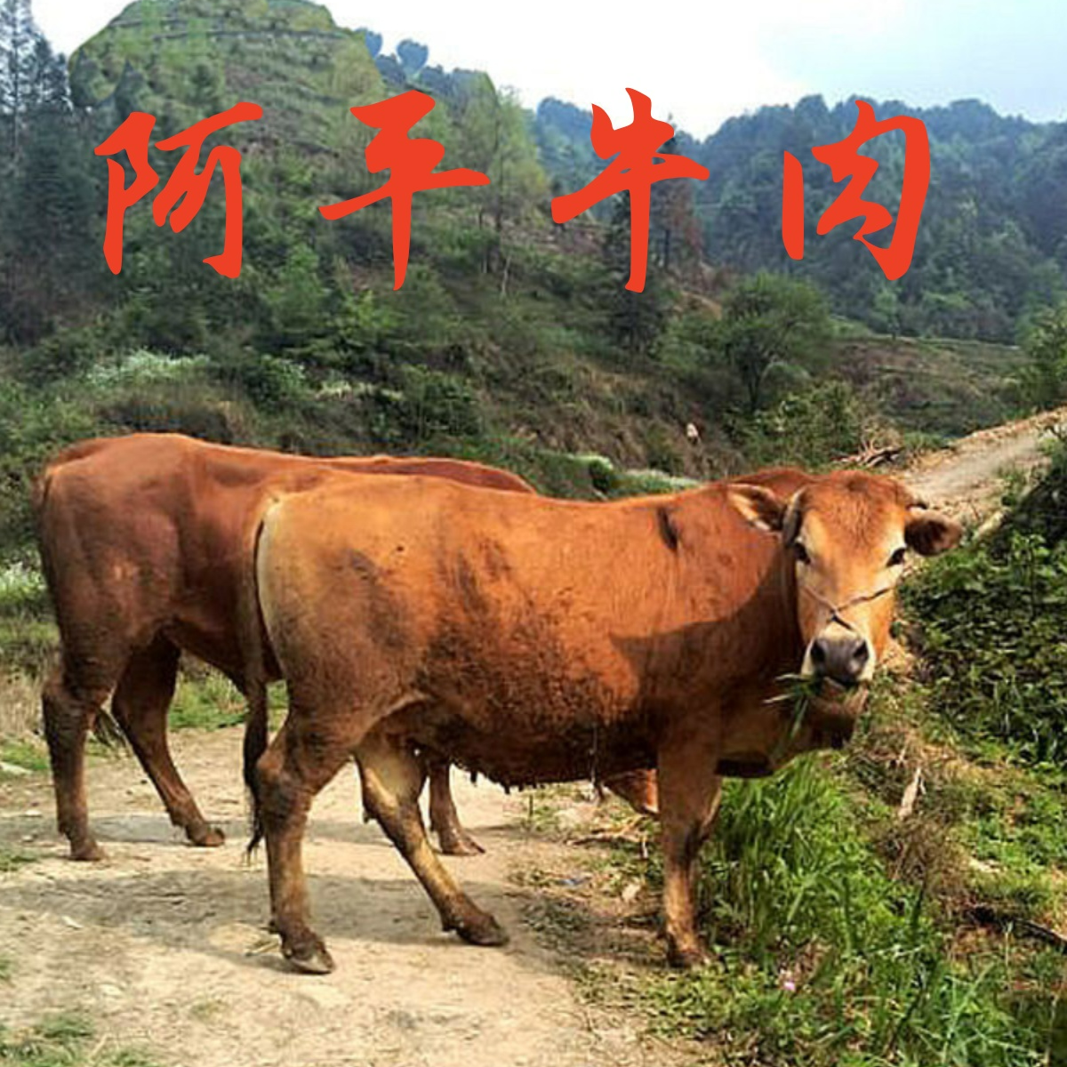 牛肉补差价专拍链接