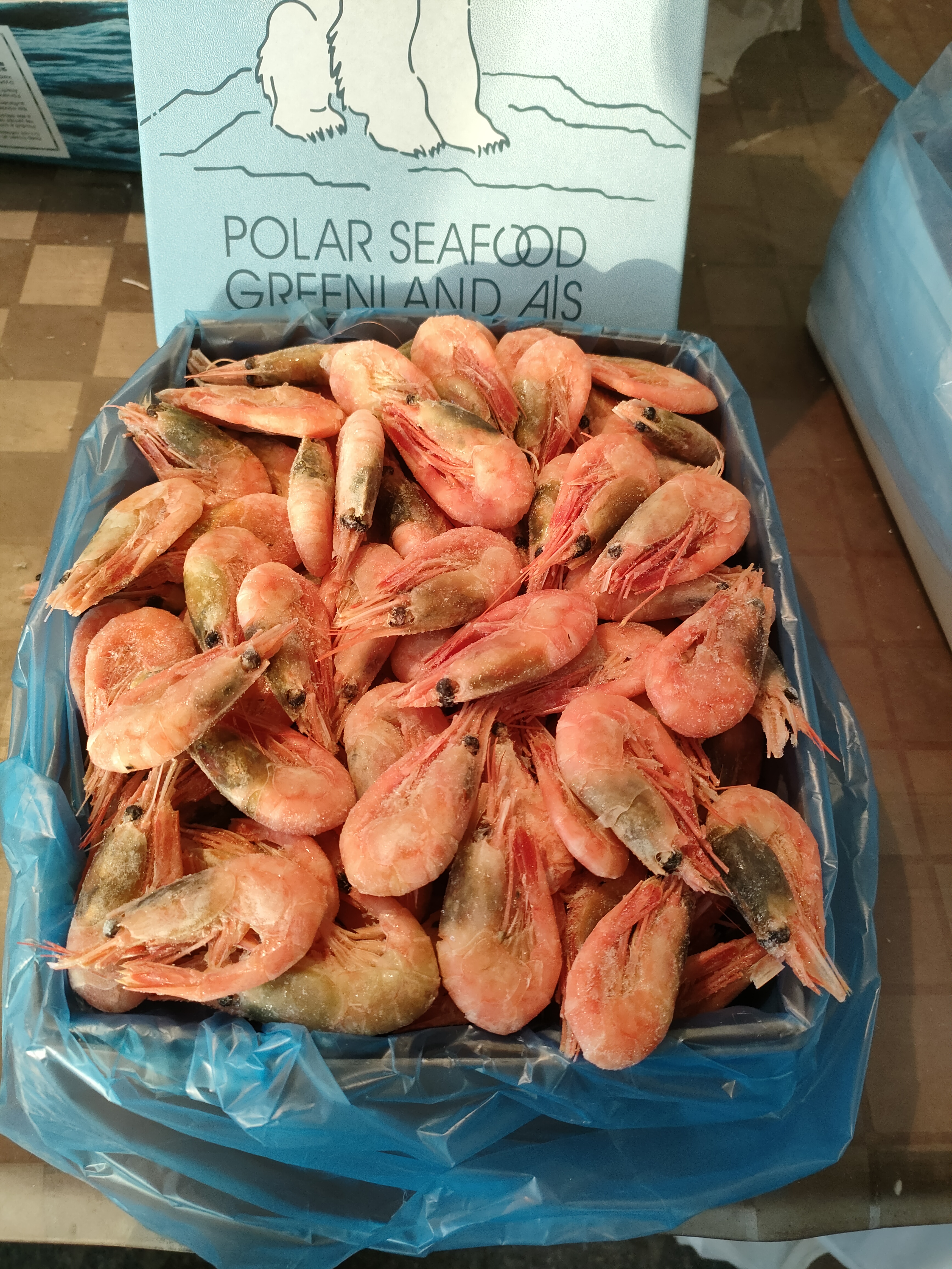 海藻头北极虾北极虾