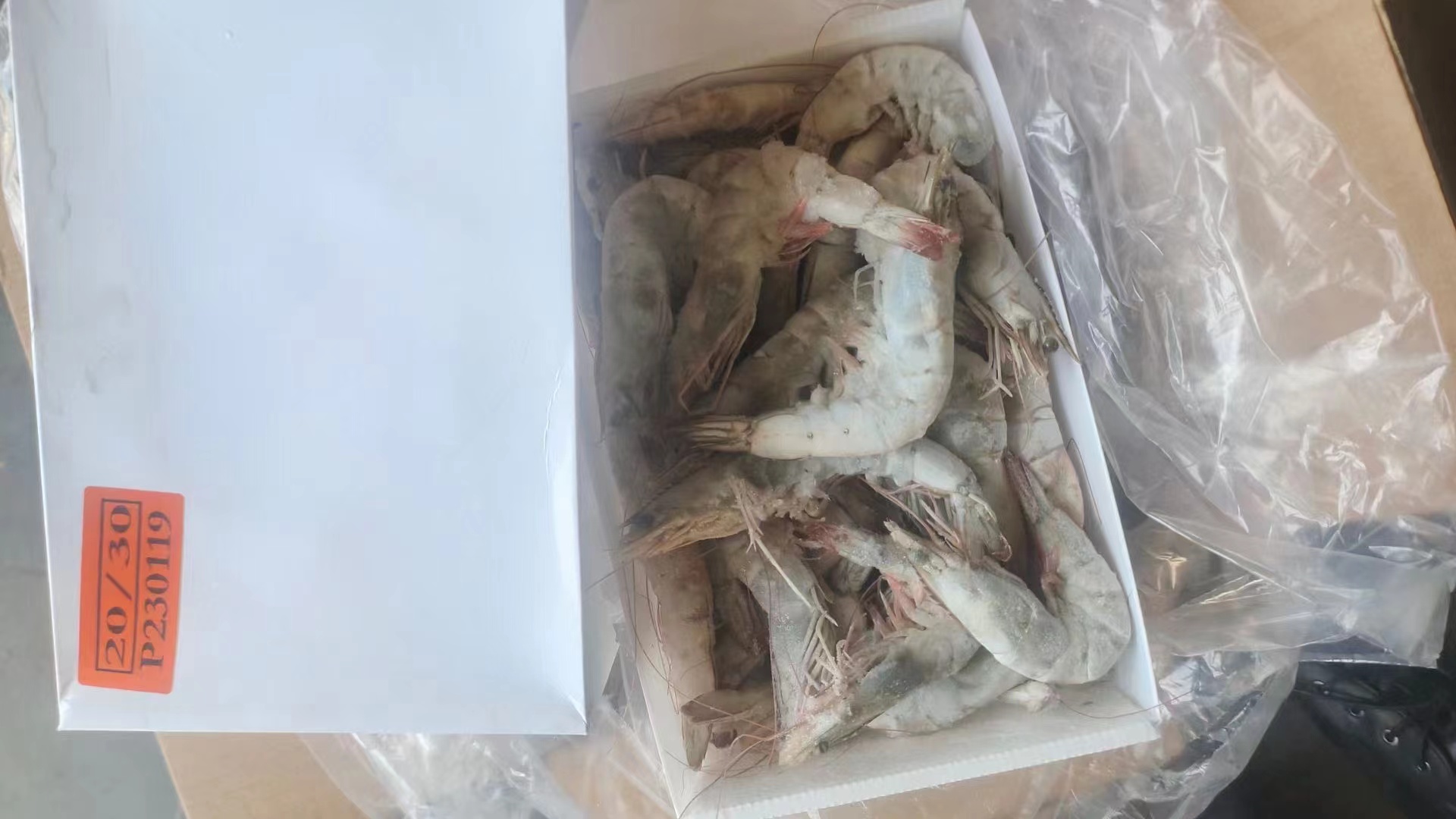 20/30厄瓜多尔盐冻
