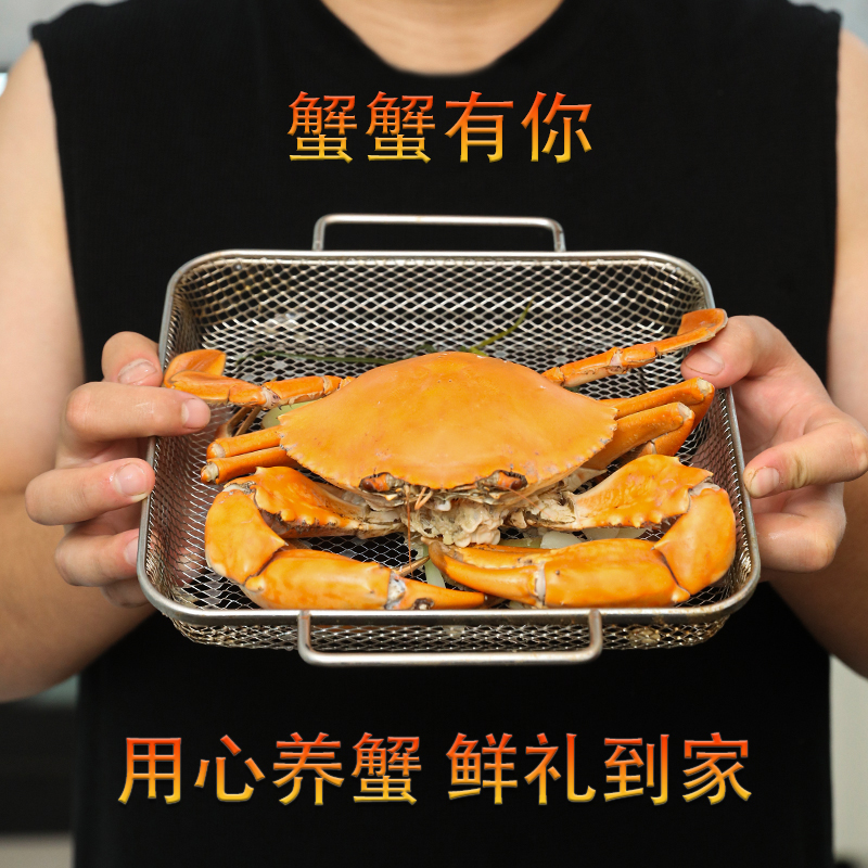 〔鲜礼家〕正宗三门青蟹  现称链接拍下即发顺丰包邮（不要放冰箱）