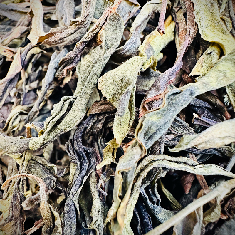 2024年 刮风寨 黄金叶  头春  头采